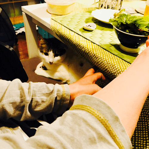 d0343573_09195170.gif