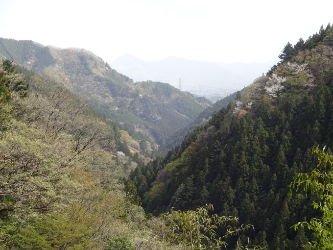 e0124473_17155155.jpg