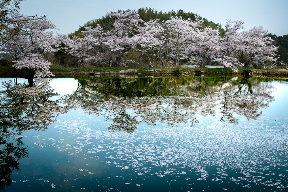 内山永久寺跡_a0301676_07331122.jpg