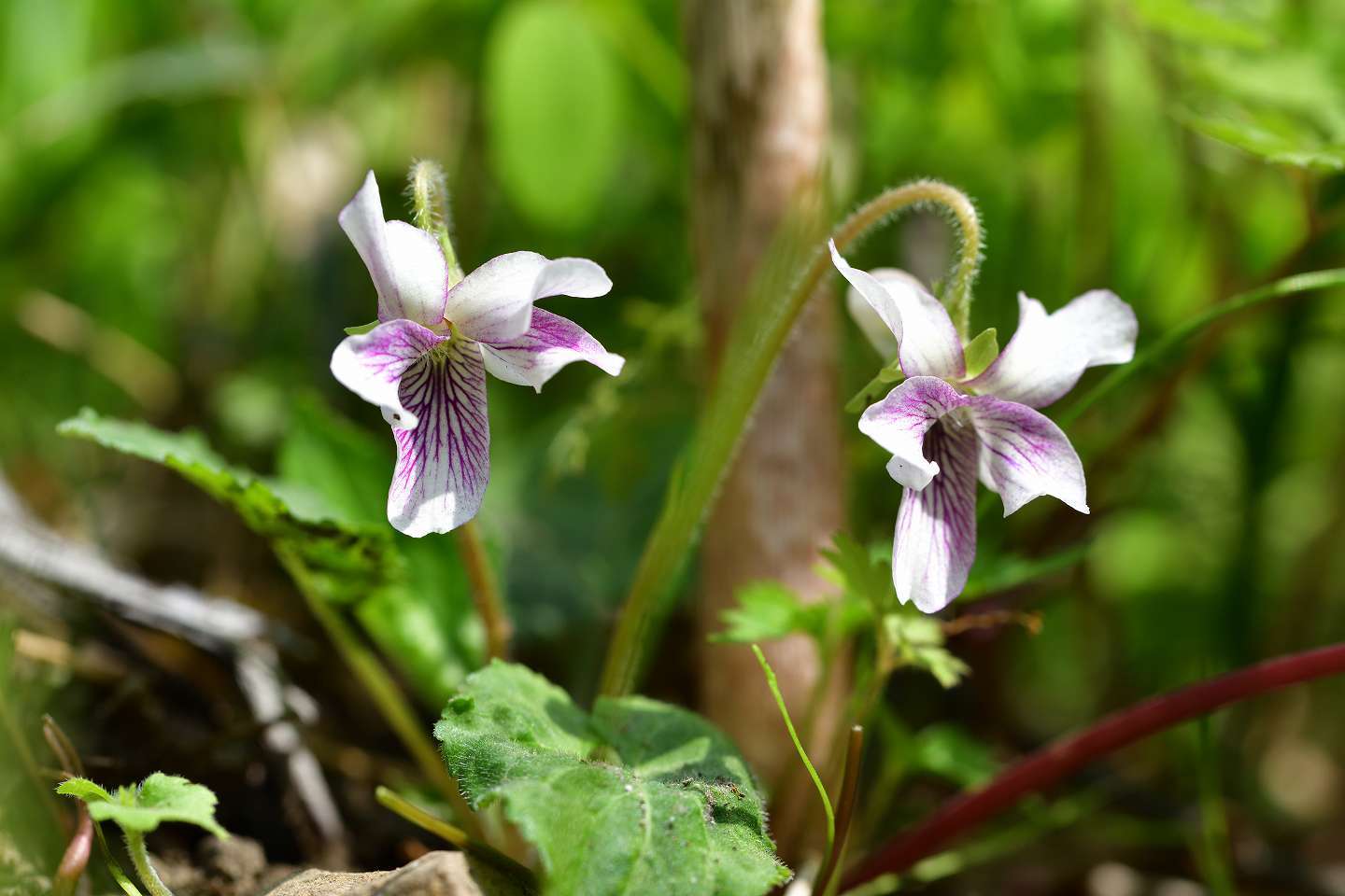 d0328977_23513968.jpg
