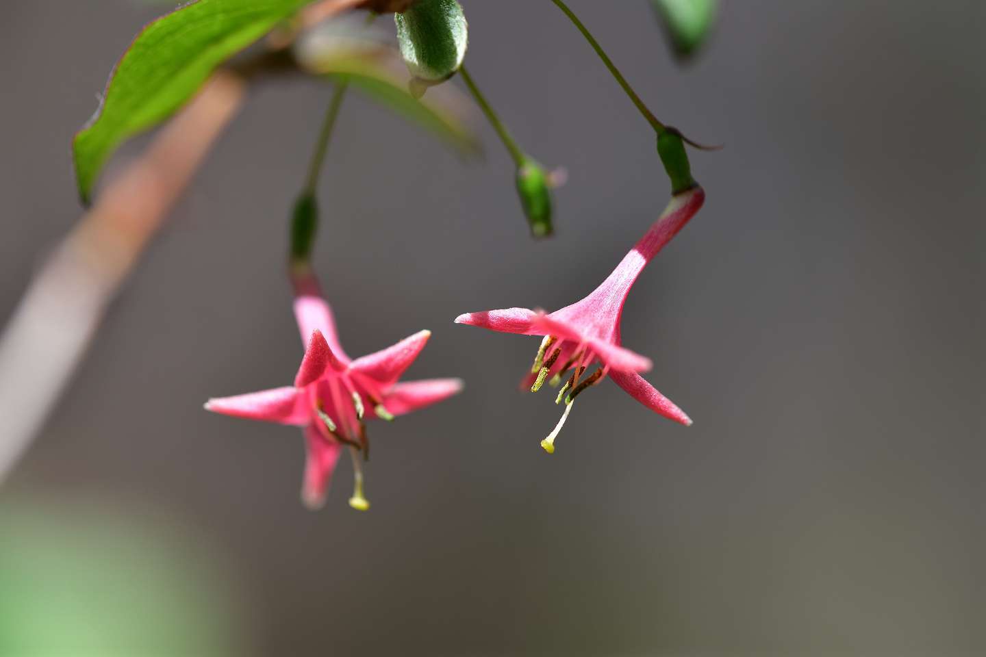 d0328977_23515671.jpg