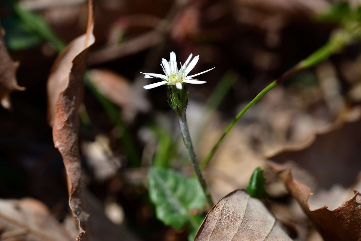 d0328977_23515688.jpg