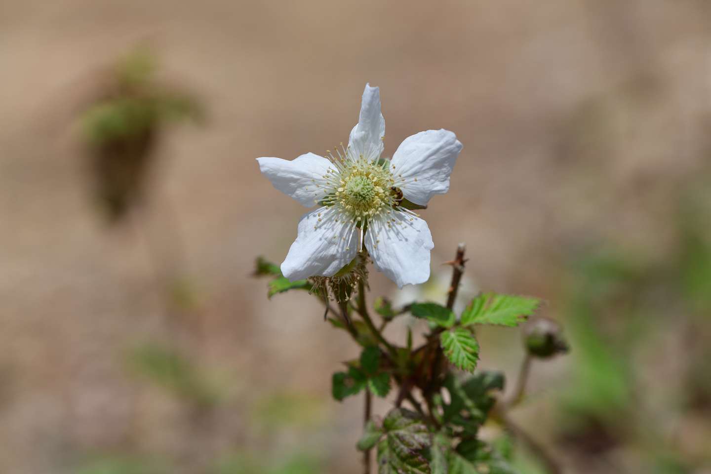 d0328977_23515773.jpg