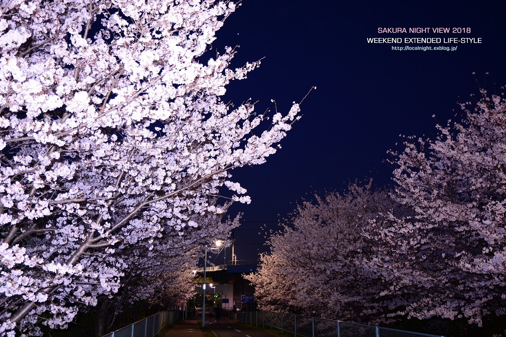 桜2018その６　美住緑道_f0345580_18355400.jpg