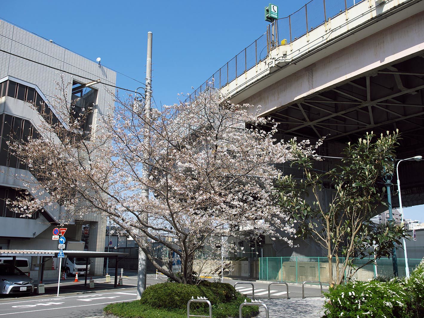 f0121181_04383308.jpg