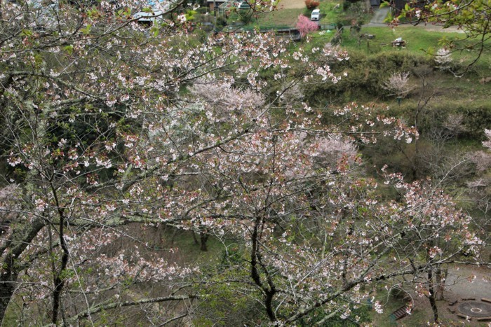 d0178082_11132851.jpg