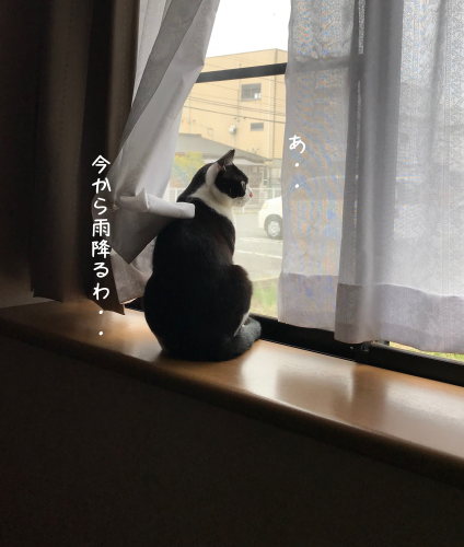a0216583_15511569.png