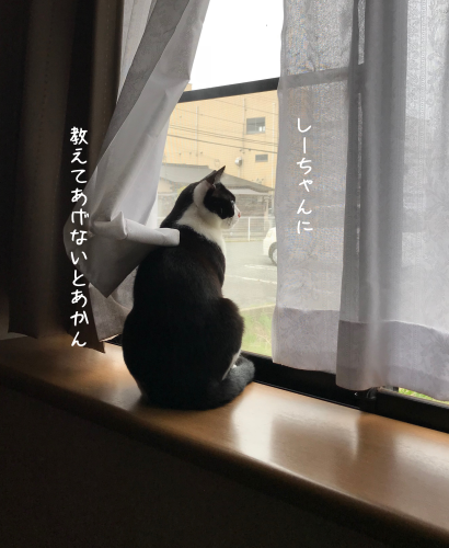 a0216583_15511803.png