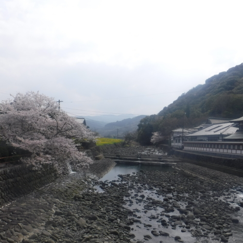 d0174683_01153242.jpeg