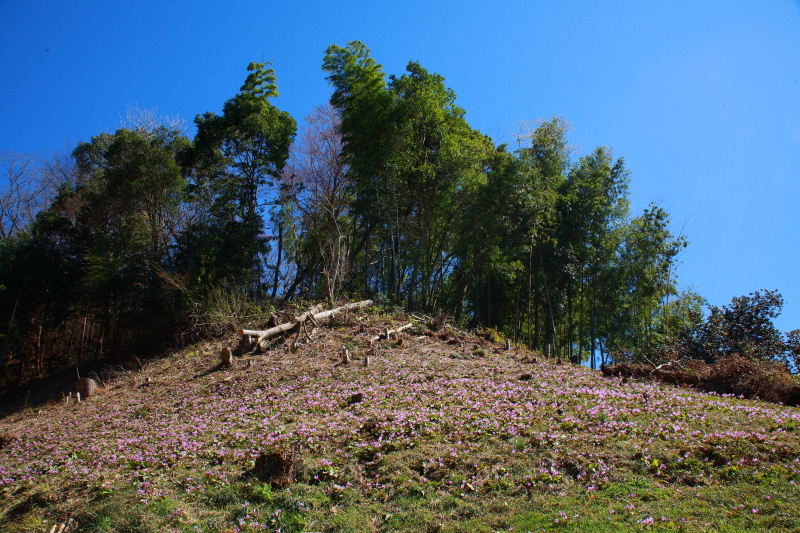 e0165983_08365257.jpg