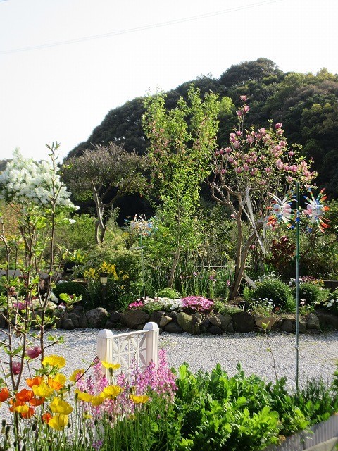 b0182884_17112885.jpg