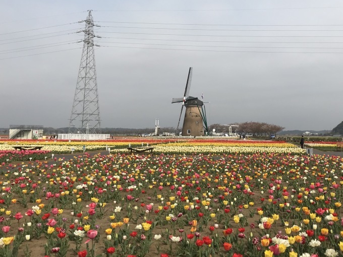 a0027290_22394832.jpeg