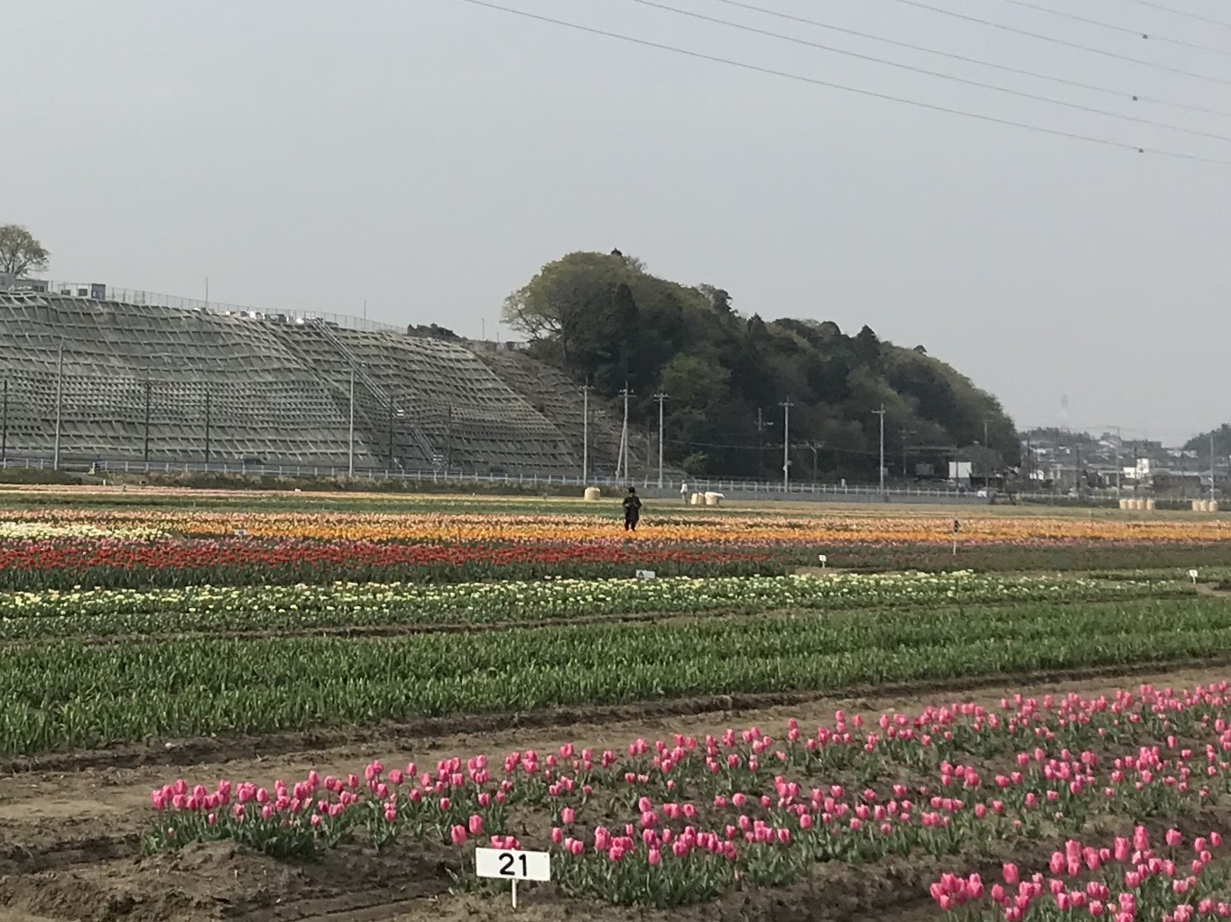 a0027290_23052606.jpeg