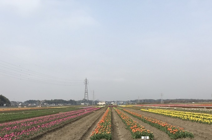 a0027290_23055132.jpeg