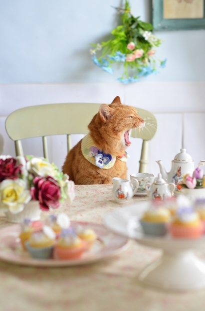 誕生日の襟とスイーツ、そしてオフショット　　Handmade Cat\'s Collar & Homemade Flower Cupcakes_d0025294_21490601.jpg