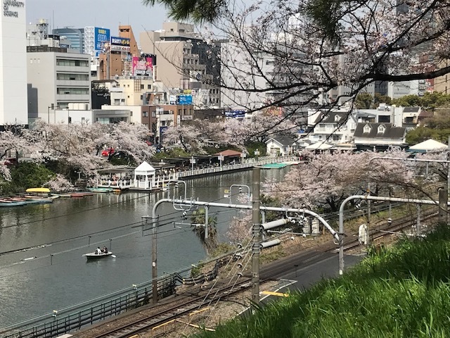 東京営業所近くの桜の名所へ_f0270296_12415651.jpg