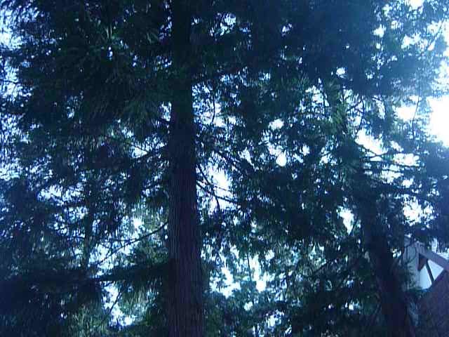 e0326699_17561712.jpg