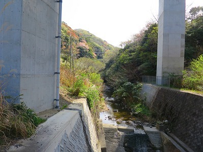 d0360104_20540000.jpg