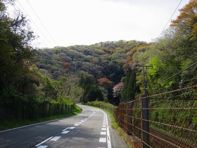 d0360104_20542465.jpg