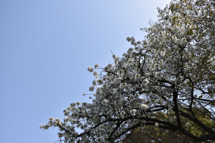 f0361605_22015353.jpg