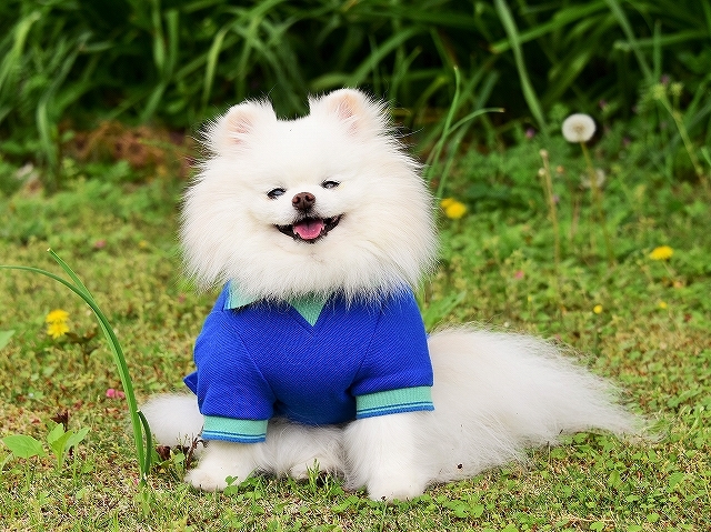 わたしを癒す_d0360206_01565008.jpg