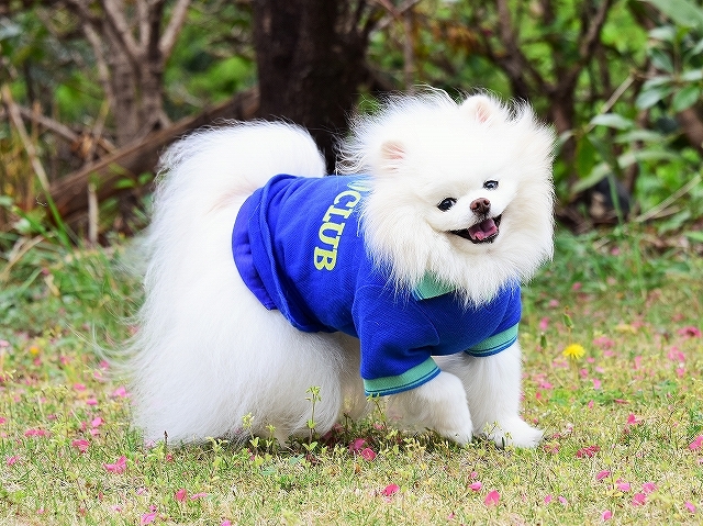 わたしを癒す_d0360206_01582081.jpg