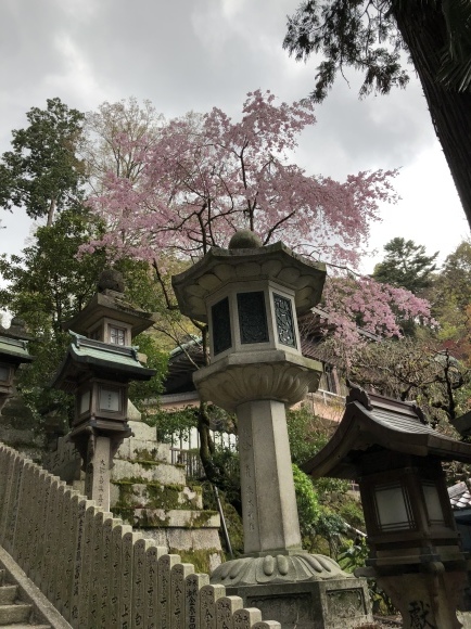 c0388708_21345066.jpeg