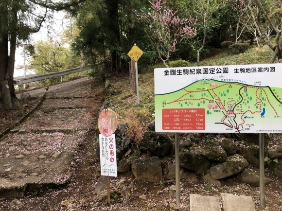 c0388708_21371516.jpeg