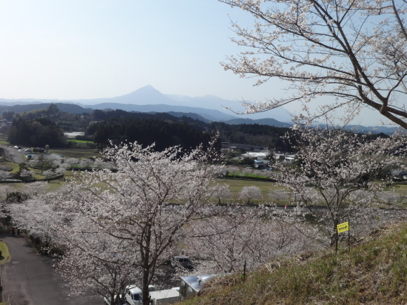 桜と東京土産_e0352610_08382465.jpg