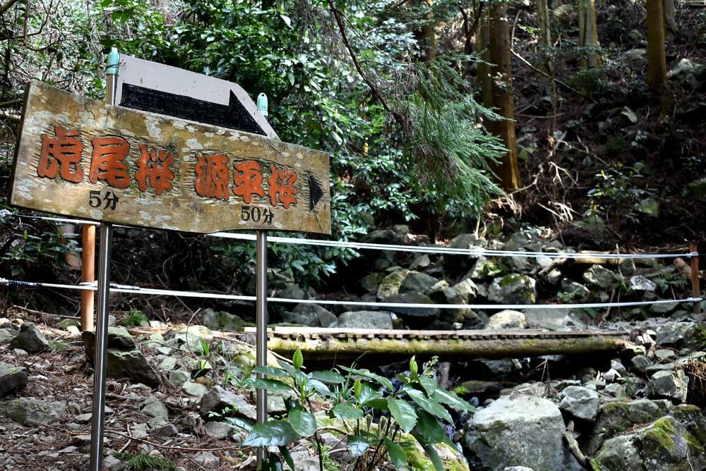 f0212511_10175369.jpg