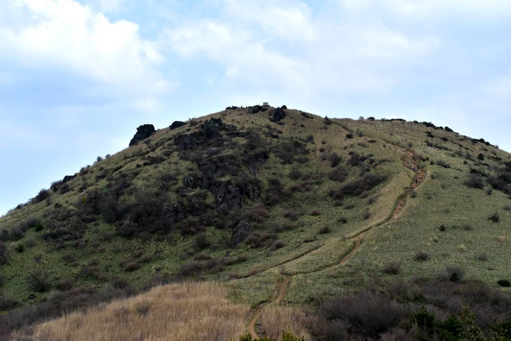 f0212511_10185781.jpg