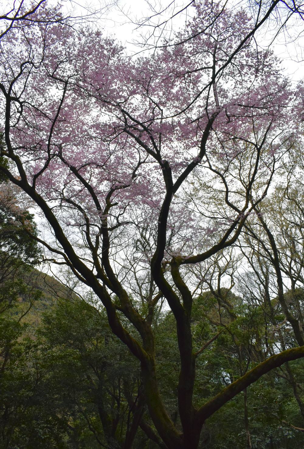 f0212511_10192700.jpg
