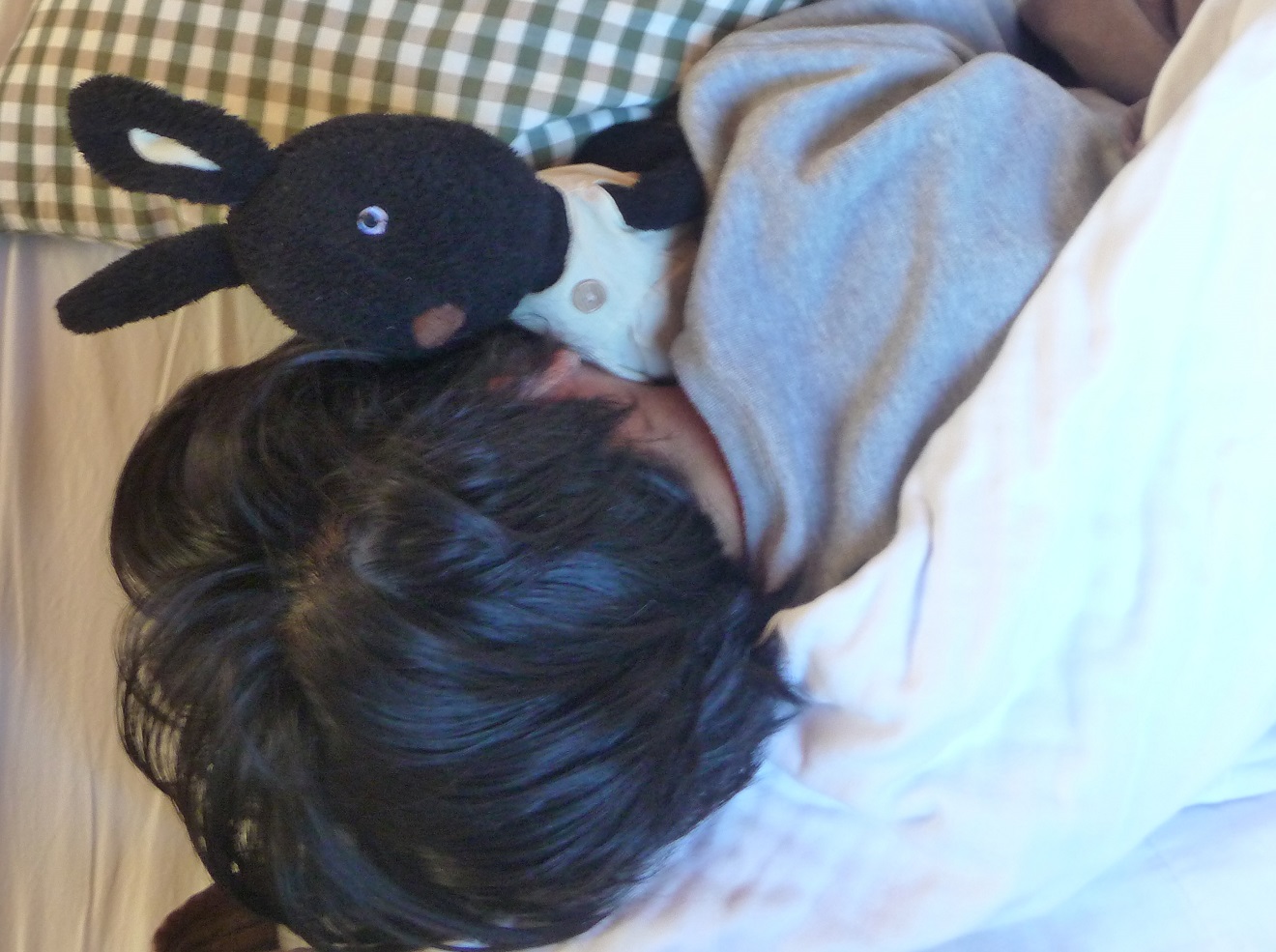 c0202113_1612383.jpg