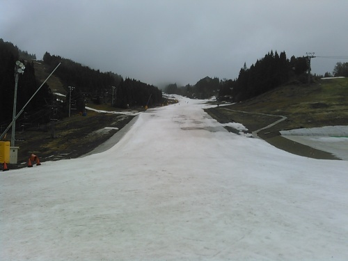 c0359615_13523479.jpg
