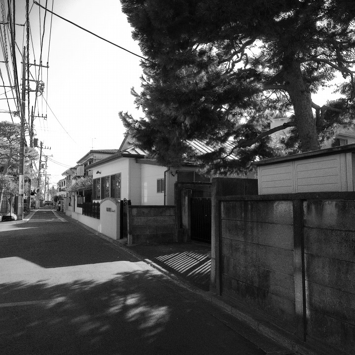 b0058021_09414049.jpg