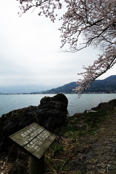 海津大崎で桜並木を見た　2018/04/06_e0192725_20440797.jpg