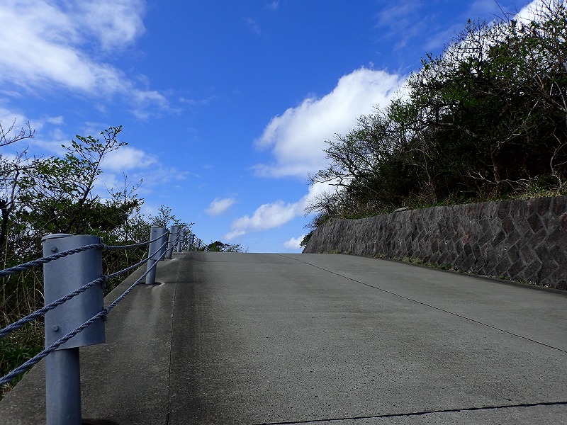 e0284726_11102575.jpg