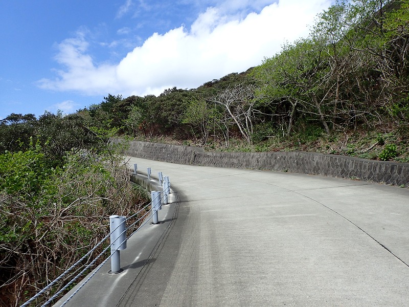e0284726_1110798.jpg