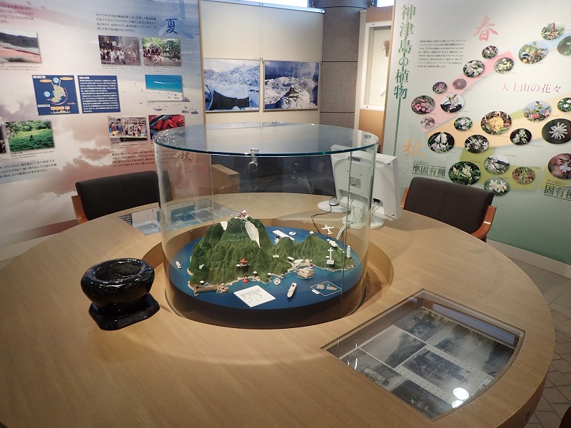 e0284726_1125183.jpg
