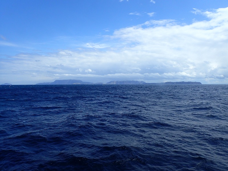 e0284726_1173338.jpg