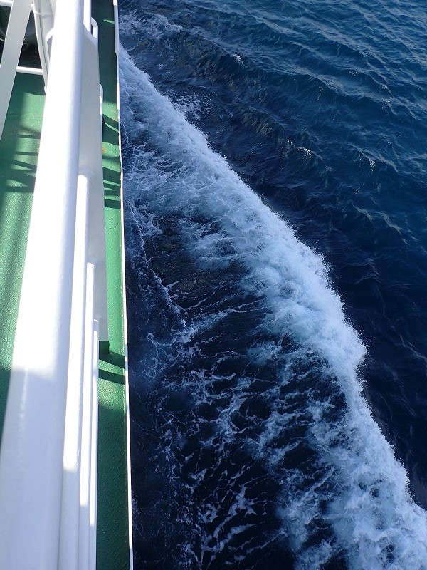 e0284726_117399.jpg