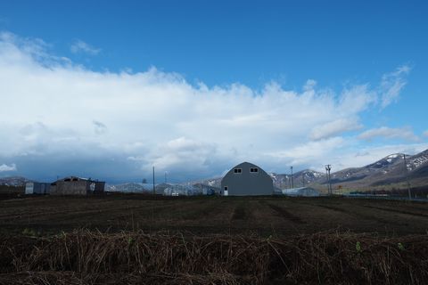 b0042334_17493610.jpg