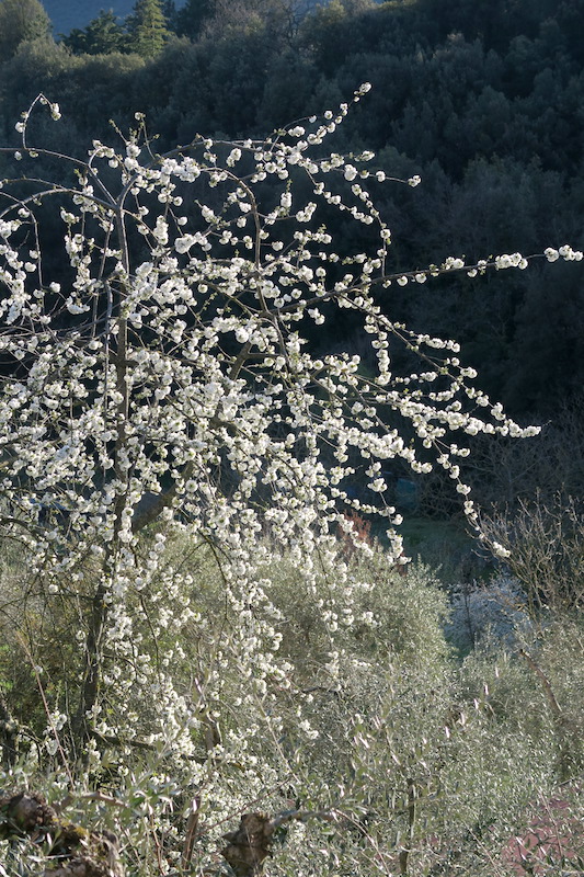 f0234936_6383185.jpg
