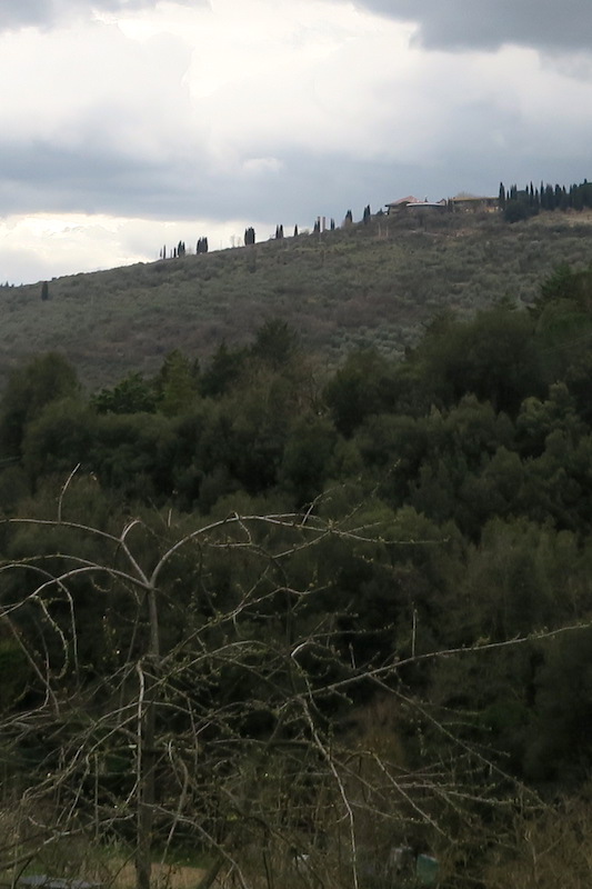 f0234936_7163649.jpg