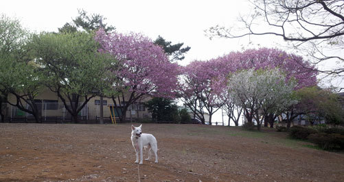 a0117039_00080875.jpg