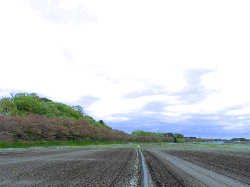 d0290240_14140038.gif