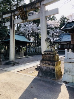 c0076141_10511250.jpg