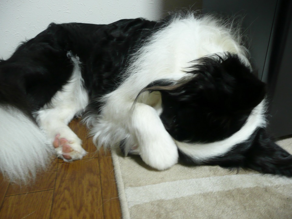 c0147241_22080213.jpg