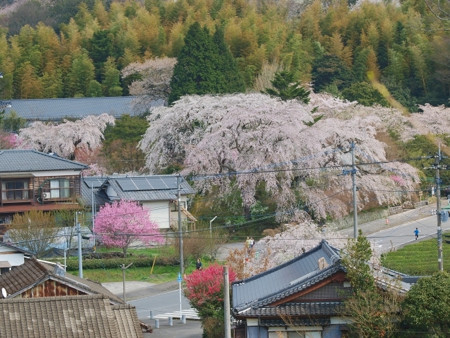 c0281841_15400808.jpg