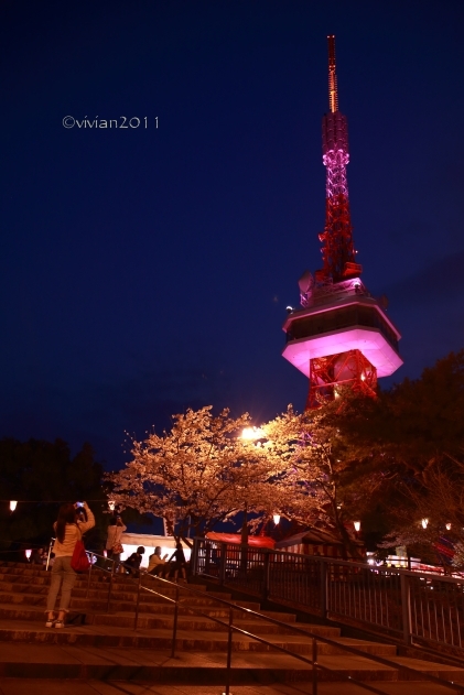八幡山公園の夜桜2018_e0227942_22415878.jpg